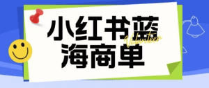 价值2980的小红书商单项目暴力起号玩法，一单收益200-300（可批量放大）-天边资源网