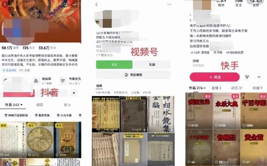 图片[4]-古籍国学电子书虚拟项目，日入1000+-天边资源网