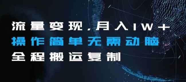 图片[1]-流量变现，月入1W+，操作简单无需动脑全程搬运复制-天边资源网