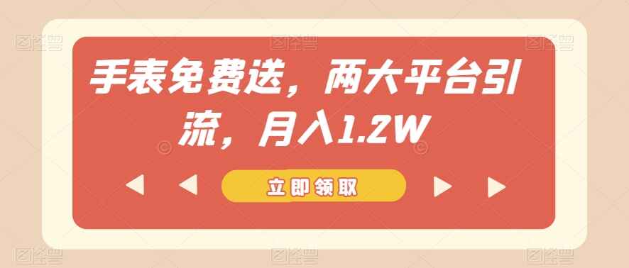 图片[1]-手表免费送，两大平台引流，月入1.2W【揭秘】-天边资源网