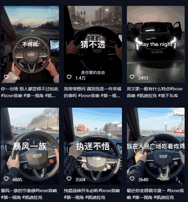 图片[2]-抖音开车视频项目，0基础操作，每天五分钟，月入1W+-阿灿说钱