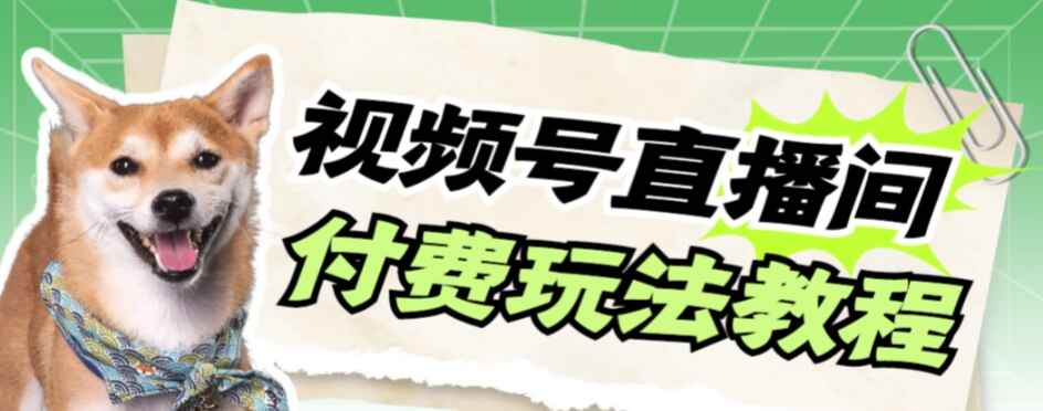 图片[1]-视频号美女付费无人直播详细玩法，轻松日入500+【揭秘】-天边资源网