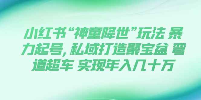 图片[1]-小红书“神童降世”玩法，暴力起号，私域打造聚宝盆，弯道超车年入几十万【揭秘】-天边资源网