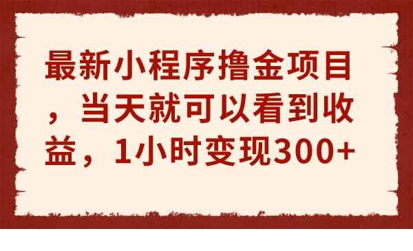 最新小程序撸金项目,当天见收益,1小时变现300+-天边资源网