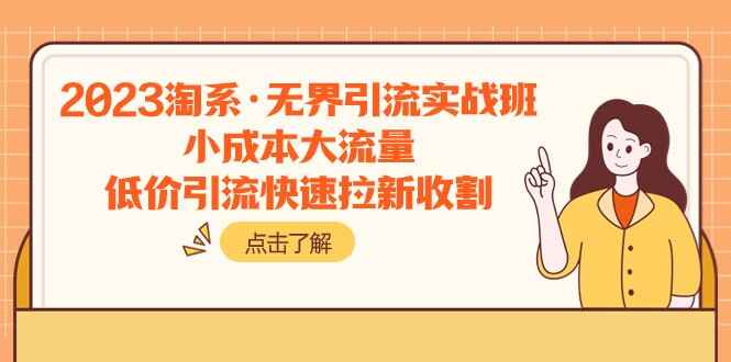 图片[1]-2023淘系无界引流实战班：小成本大流量，低价引流快速拉新收割（6节）-天边资源网