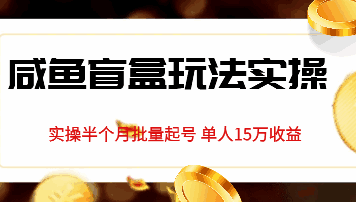 图片[1]-咸鱼盲盒玩法揭秘，半个月实操批量起号，单人收益高达15W-天边资源网