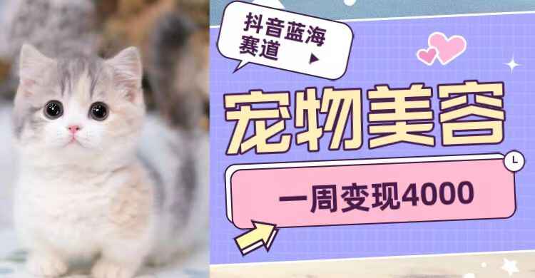 图片[1]-抖音蓝海赛道，宠物美容，一周变现4000-天边资源网
