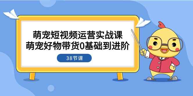 图片[1]-萌宠短视频运营实战课：萌宠好物带货0基础到进阶（38节课）-天边资源网