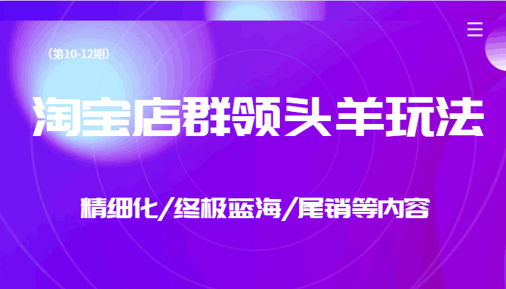 图片[1]-淘宝店群领头羊课程-精细化/终极蓝海/尾销等玩法-天边资源网