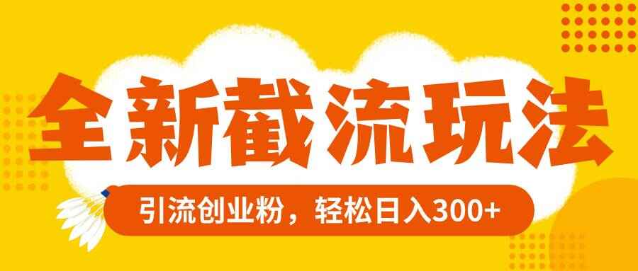 图片[1]-全新截流玩法，精准引流创业粉，轻松日入300【揭秘】-天边资源网