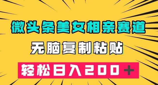 图片[1]-微头条冷门美女相亲赛道，无脑复制粘贴，轻松日入200＋【揭秘】-天边资源网