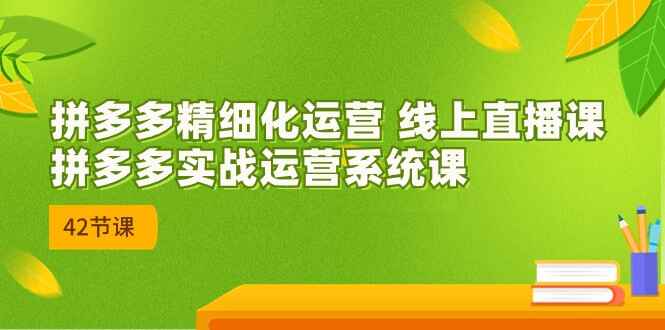 图片[1]-2023年8月最新课程：拼多多精细化运营直播课，拼多多实战运营系统课（42节）-天边资源网