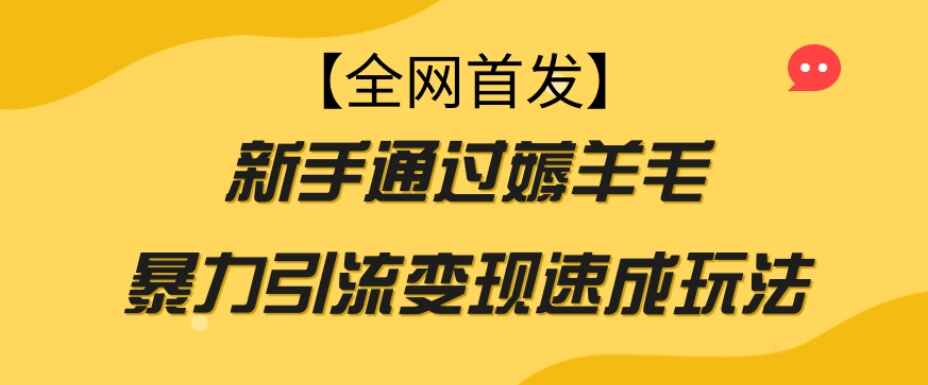图片[1]-薅羊毛暴力引流变现速成玩法，适合新手操作【揭秘】-天边资源网