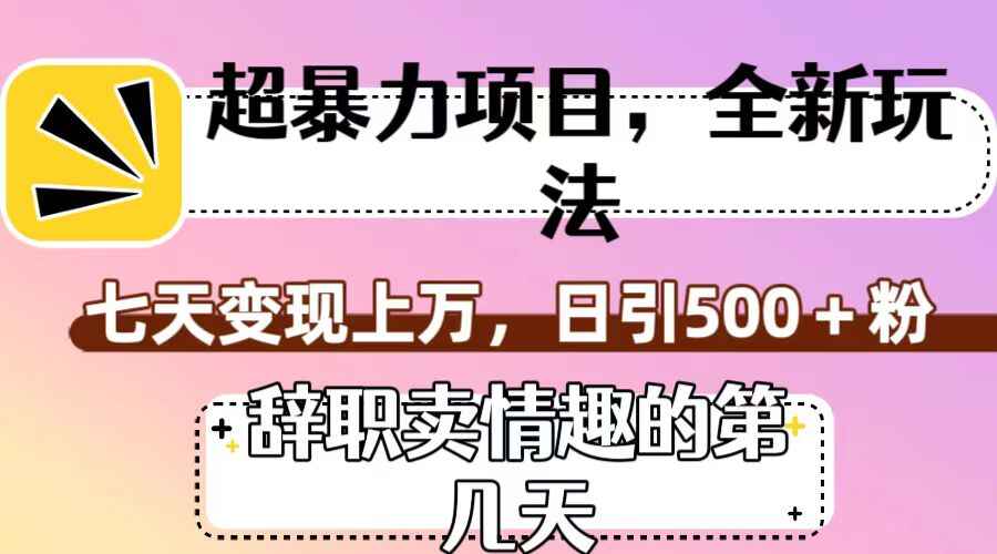 图片[1]-超暴利项目全新玩法（辞职卖情趣的第几天），七天变现上万，日引500+粉【揭秘】-天边资源网