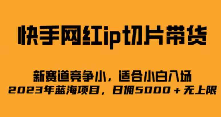 图片[1]-2023蓝海项目快手网红ip切片新赛道，竞争小适合小白-天边资源网
