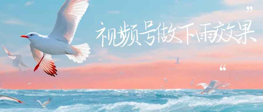 图片[1]-视频号做下雨视频一个账号一周涨粉10W+年入百万-天边资源网
