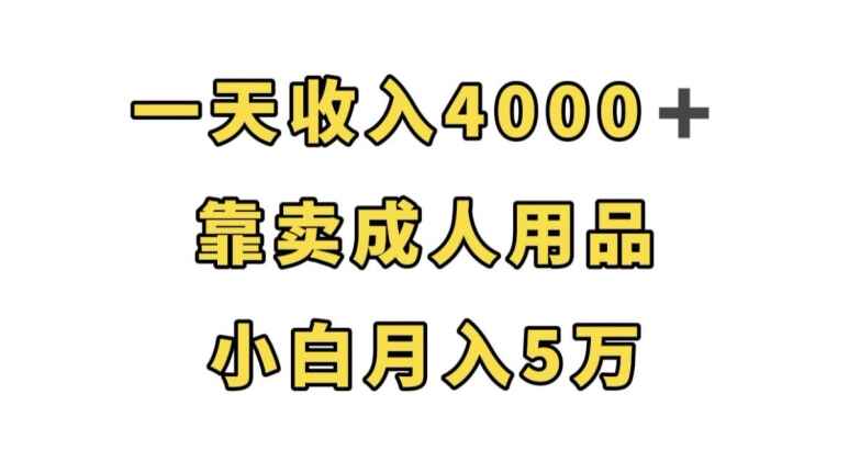 图片[1]-成人用品项目，小白成功逆袭首选，一天收入4000（附资料）-天边资源网