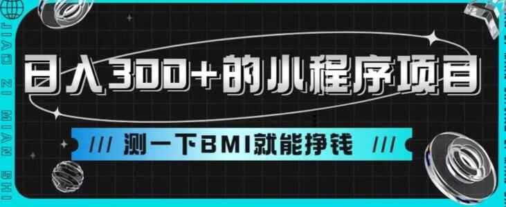 图片[1]-测一下BMI就能挣钱的小程序项目，日入300+-天边资源网