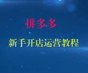 图片[1]-拼多多新手开店运营教程（共13课）-天边资源网