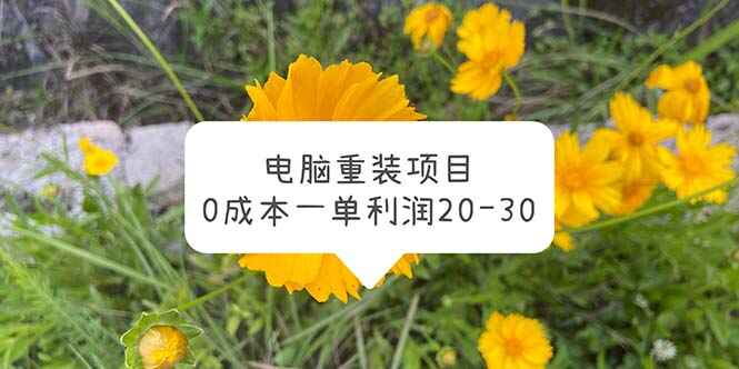 图片[1]-0成本电脑系统重装项目，一单利润20-30【操作教程】-天边资源网