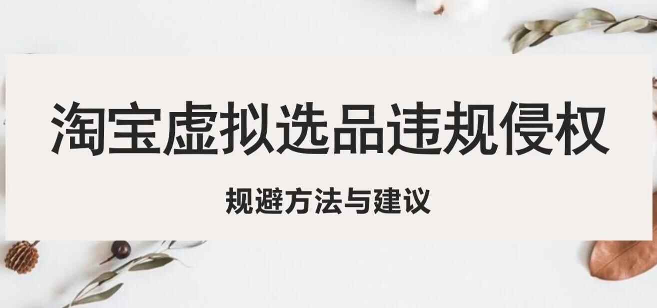 图片[1]-淘宝虚拟资源项目违规侵权规避方法教程，做虚拟资源必看！-天边资源网