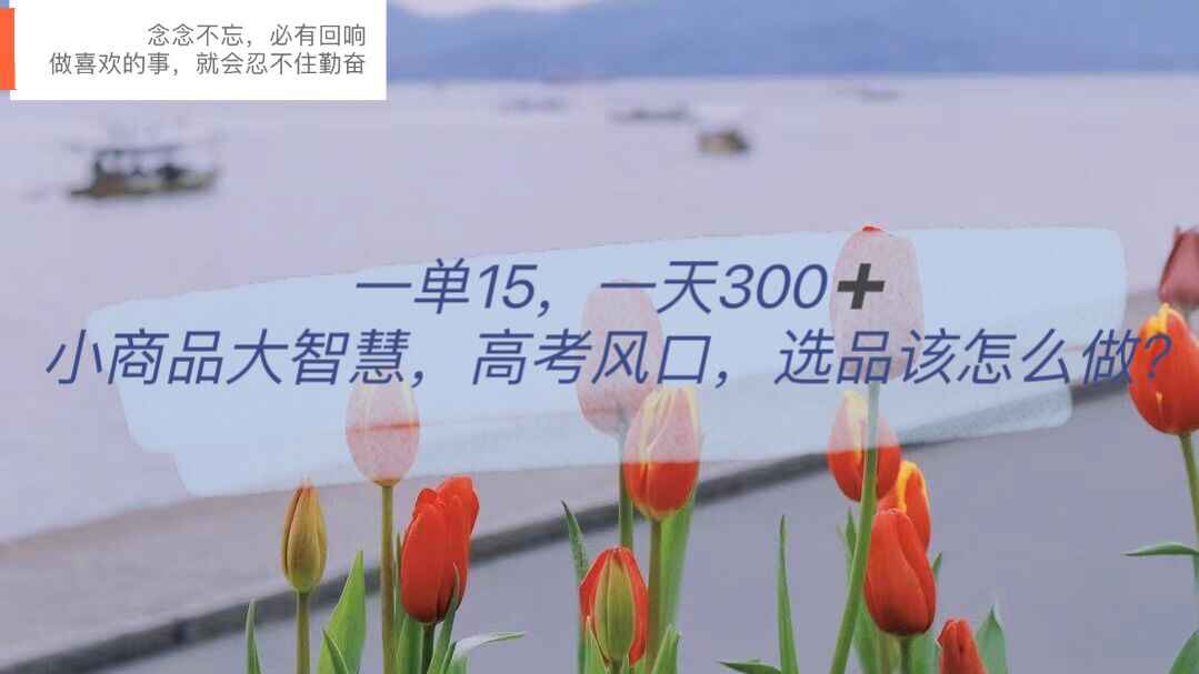 图片[1]-日入300的视频号引流变现项目，小商品选品布局获取高回报-天边资源网