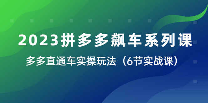 图片[1]-最新拼多多直通车实操玩法大揭秘（6节实战课）-天边资源网