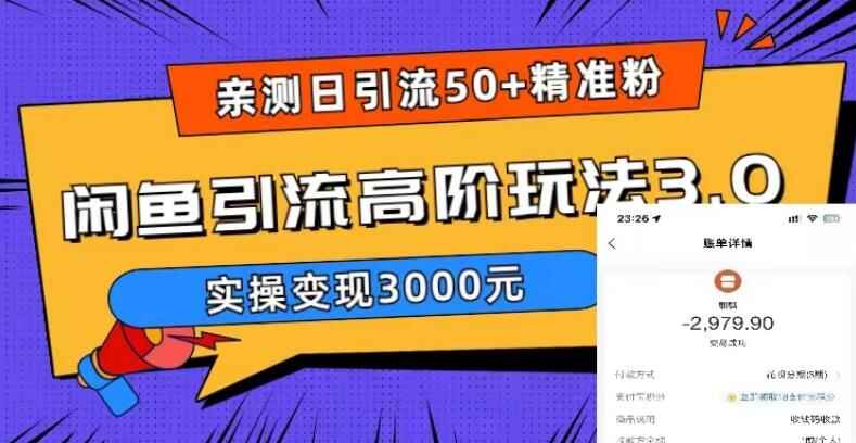 图片[1]-闲鱼引流实操教程，实测日引50+精准粉实操变现3000元-天边资源网