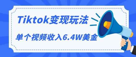 图片[1]-TIKTOK变现玩法，不自己拍摄视频，不露脸，单个视频收入6.4W美金（视频+文档）-天边资源网