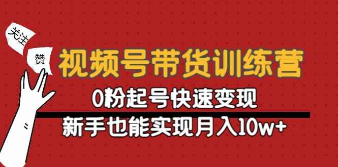 视频号带货教程：0粉起号快速变现，新手也能实现月入10w+ - 天边资源网