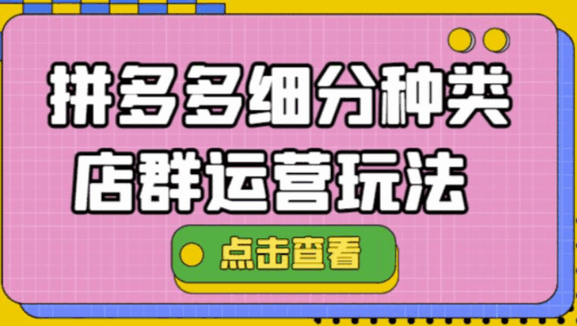 拼多多细分店群教程,最新玩法,小白也能操作-天边资源网