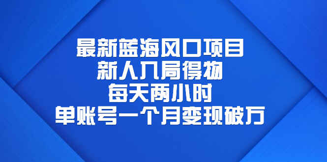 图片[1]-最新蓝海风口项目，每天两小时，单账号一个月变现破万-天边资源网