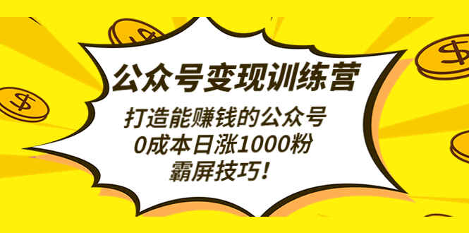 图片[1]-公众号变现渠道和推广方式：打造能赚钱的公众号，0成本日涨1000粉，霸屏技巧-天边资源网