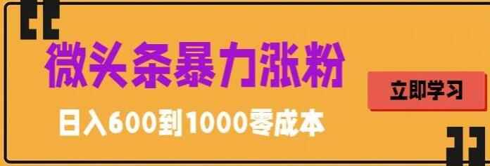 图片[1]-微头条搬运文案暴力涨粉技巧，简单0成本，日赚600-天边资源网
