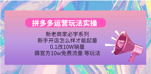 拼多多运营培训课程:拼多多实战讲解全程演示【视频教程】