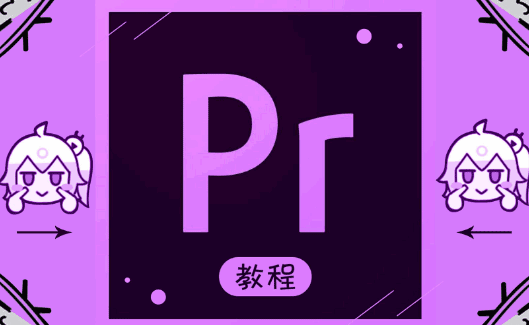 图片[1]-PR_Premiere基础到高级系统教程57节-天边资源网