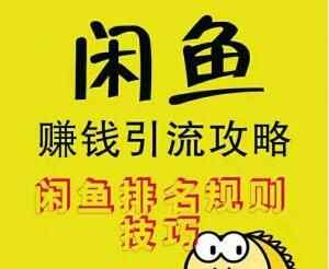 图片[1]-闲鱼赚钱引流攻略，闲鱼排名规则技巧-天边资源网