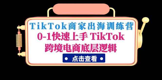 图片[1]-TikTok商家开店教程：零基础快速上手 TikTok跨境电商-天边资源网
