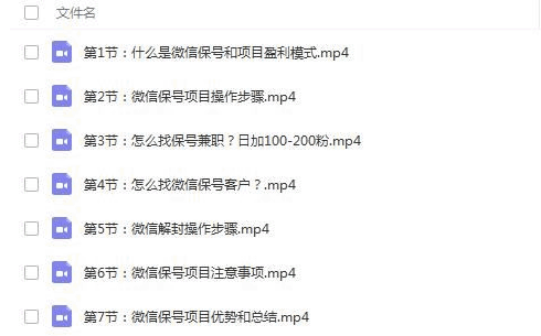 图片[1]-微信保号项目：0成本月入过万实战课程-天边资源网