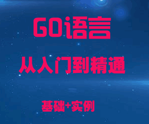 图片[1]-GO语言从入门到精通全套教程-天边资源网