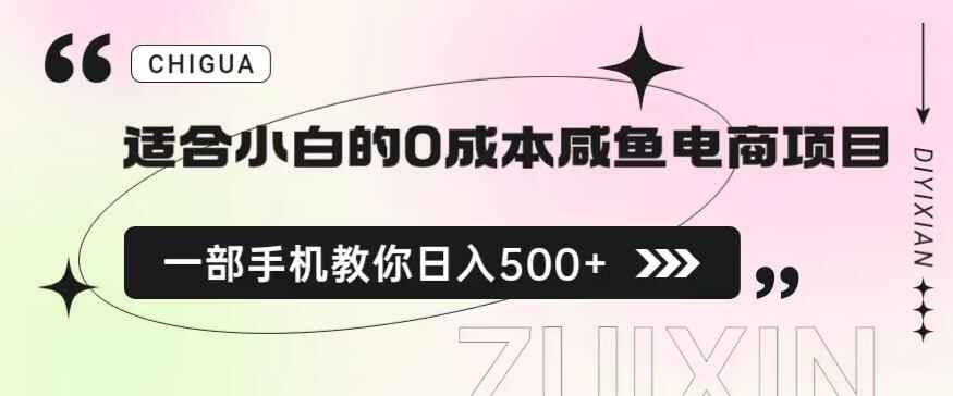 零成本闲鱼电商项目保姆级教程，一部手机教你日入500+-天边资源网