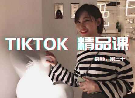 图片[1]-Tiktok精品实操课_单账号最高210W粉丝-天边资源网