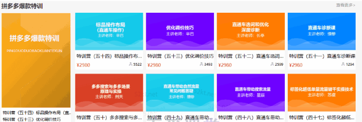 图片[1]-多多大师VIP拼多多运营培训课程价值2980元-天边资源网