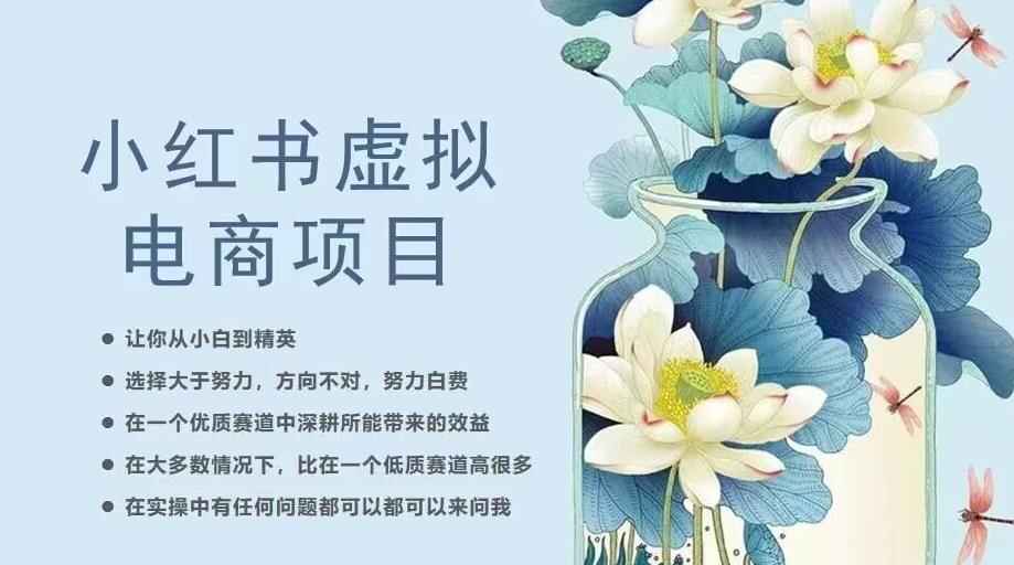 图片[1]-小红书虚拟电商课程（20节实操课程）让你从小白到精英-天边资源网