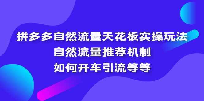 图片[1]-拼多多自然流量实操教程：自然流量推荐机制，引流机制等-天边资源网