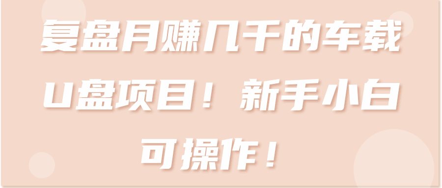 图片[1]-月赚几千的车载U盘项目！新手小白可操作！【视频教程】-天边资源网
