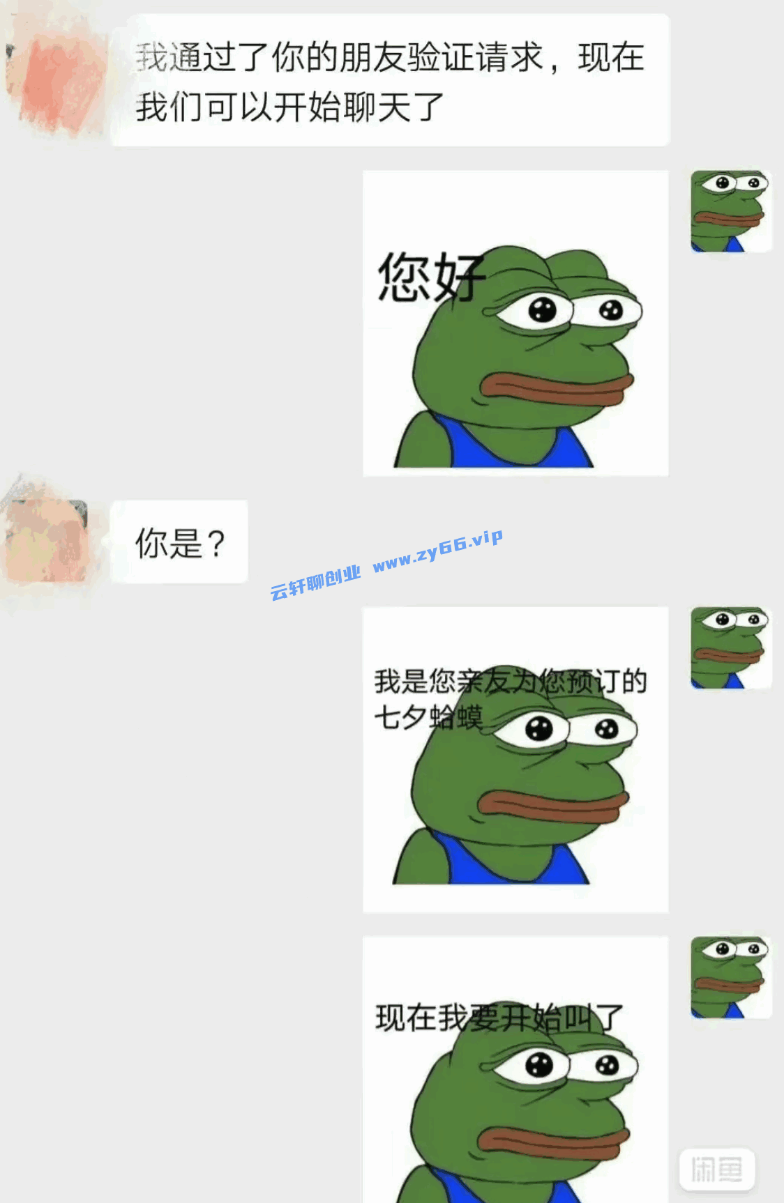 图片[3]-七夕临近，爆火的孤寡青蛙项目玩法拆解 - 天边资源网-天边资源网