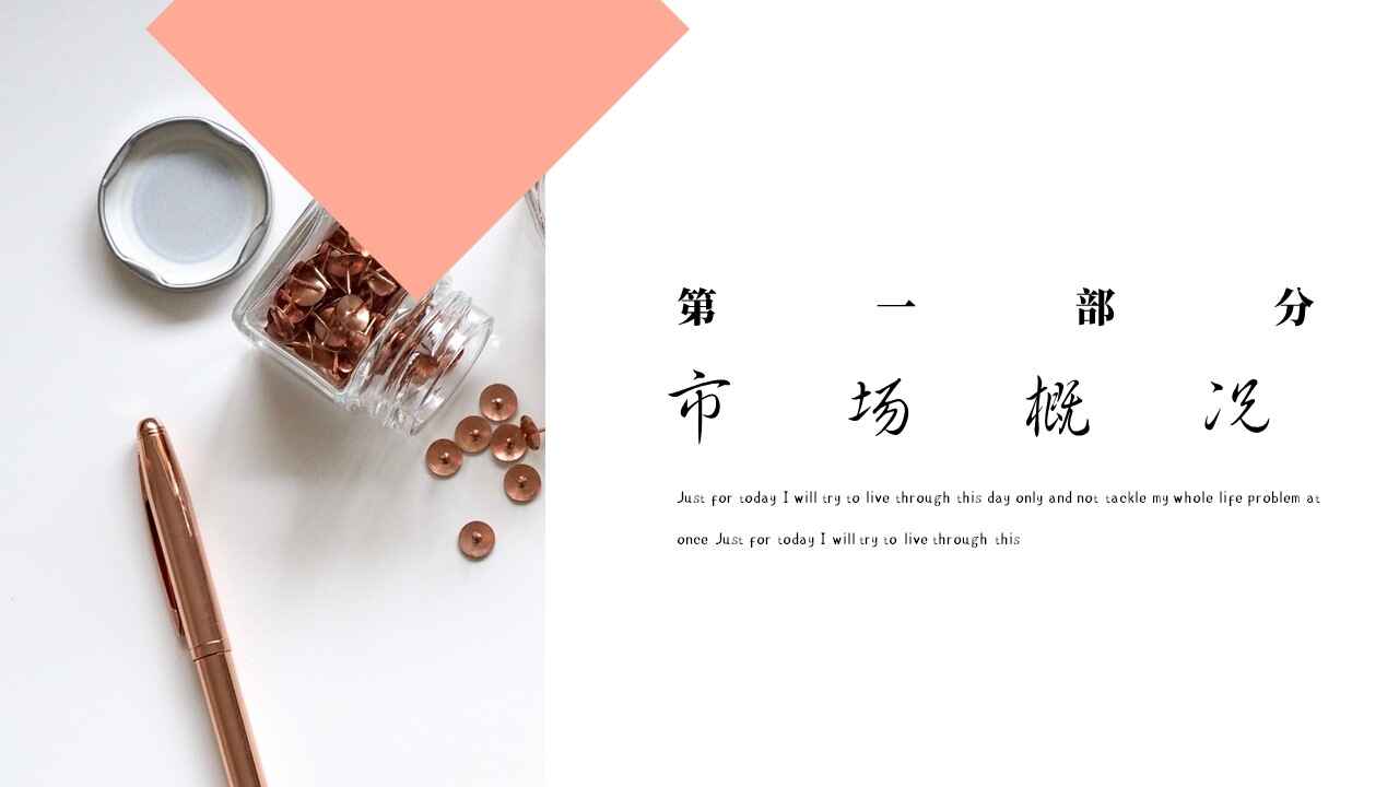 图片[3]-商务营销策划PPT模板-天边资源网