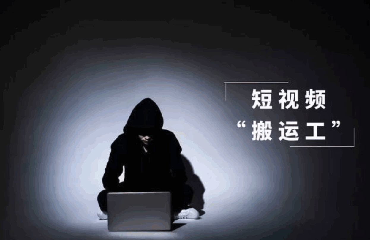 图片[4]-视频号轻松带货，教你轻松学会无脑搬运-天边资源网