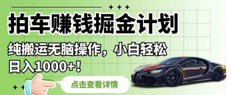 图片[1]-拍车赚钱掘金计划，纯搬运无脑操作，小白日入1000+-天边资源网